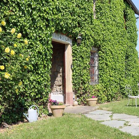 Maison De Charme "Le Moulin D'Hagenthal" - Chambre Romantique Apartment Exterior photo